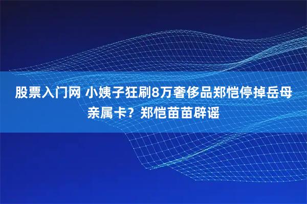 股票入门网 小姨子狂刷8万奢侈品郑恺停掉岳母亲属卡？郑恺苗苗辟谣